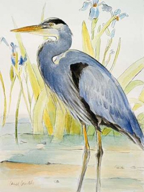 Great Blue Heron Poster Print by Lanie Loreth - Item # VARPDX9781