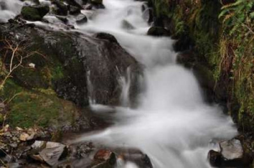 Stream Falls III Poster Print by Logan Thomas - Item # VARPDXPSTMS110