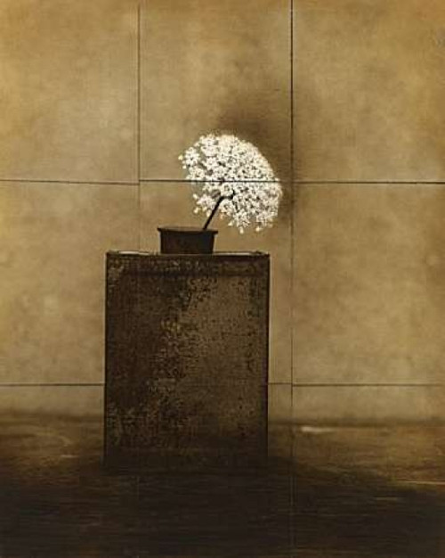 Dark Vessel Poster Print by Jan Gauthier - Item # VARPDXG612D