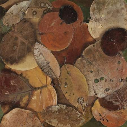 Scattered Leaves I Poster Print by Patricia Pinto - Item # VARPDX6950