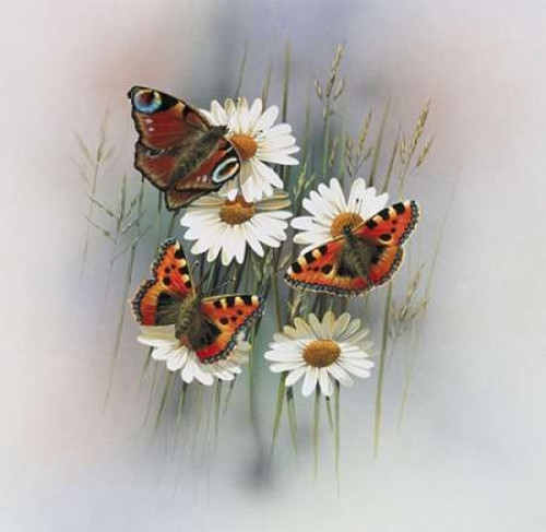 Butterflies Poster Print by Jan Weenink - Item # VARPDXJW2005041