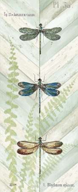 Dragonfly Botanical Panels I Poster Print by  Tre Sorelle Studios - Item # VARPDXRB7762TS