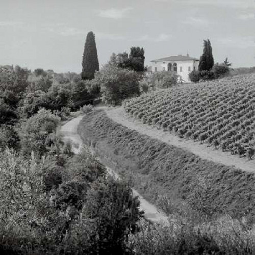 Tuscany - 5 Poster Print by Alan Blaustein - Item # VARPDXABIT2292
