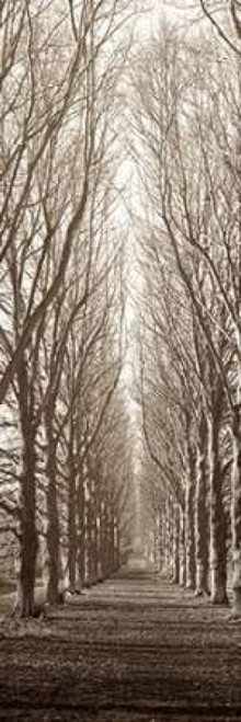Hampton Gates Promenade Poster Print by Alan Blaustein