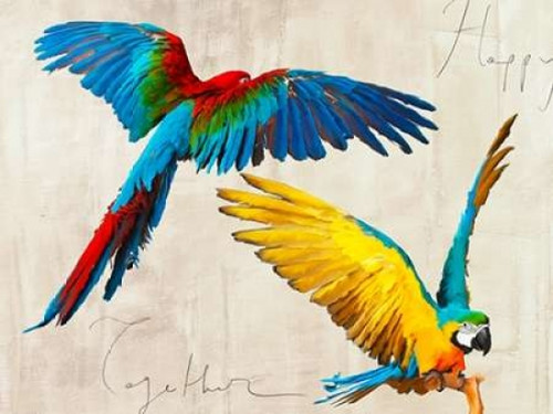 Happy Together Poster Print by Teo Rizzardi - Item # VARPDX3TR1894