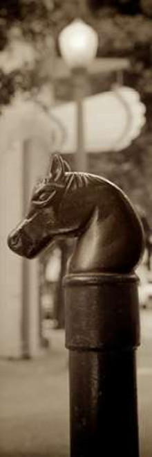 Hitching Post Pano - 1 Poster Print by Alan Blaustein - Item # VARPDXABSFV37