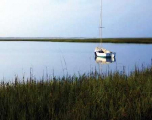 Serene Morning I Poster Print by Alan Hausenflock - Item # VARPDXHSF021