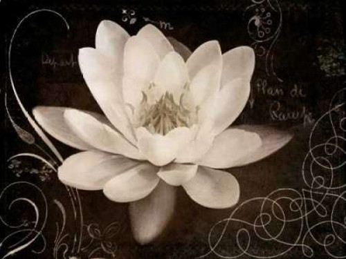 Garden Journal IV Poster Print by Amy Melious - Item # VARPDXMEL338