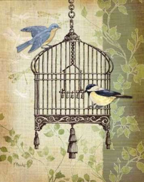 Botanical Birdcage II Poster Print by Paul Brent