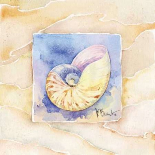 Nautilus Poster Print by Paul Brent
