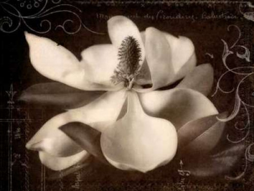 Garden Journal I Poster Print by Amy Melious - Item # VARPDXMEL335