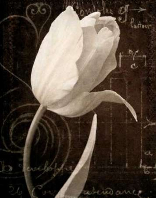 Garden Architecture I Poster Print by Amy Melious - Item # VARPDXMEL333