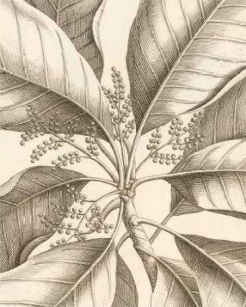 Tropical Connection II Poster Print by Louis Van Houtte