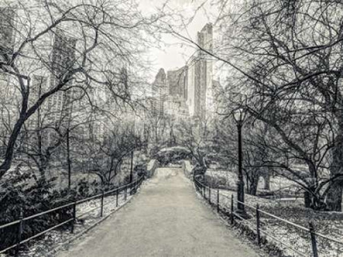 Pathway through Central park, New York Poster Print by  Assaf Frank
