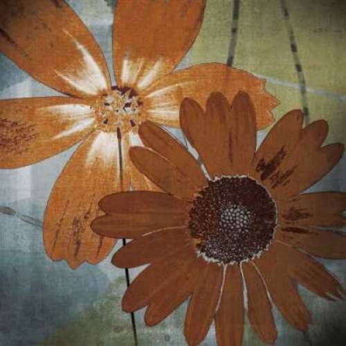 In the Cosmos Poster Print by Robert Lacie - Item # VARPDXLRP117A