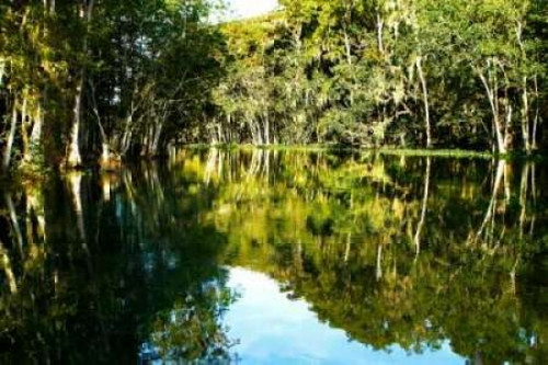 Silver River IV Poster Print by Alan Hausenflock - Item # VARPDXPSHSF398