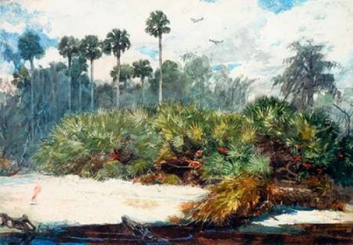In A Florida Jungle Poster Print by  Winslow Homer - Item # VARPDX373231