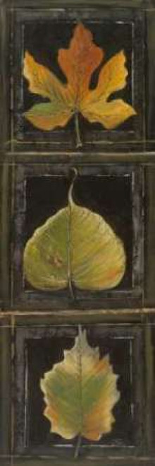 Three Leaves I Poster Print by Patricia Pinto - Item # VARPDX7792
