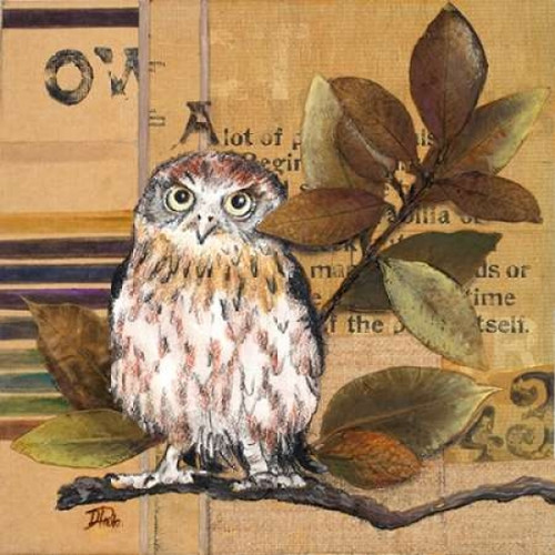 Little Owls I Poster Print by Patricia Pinto - Item # VARPDX9355