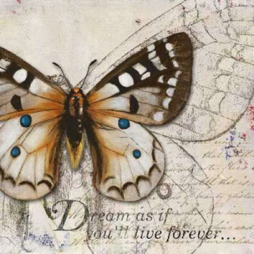 Living your Dreams I Poster Print by Patricia Pinto - Item # VARPDX6229A