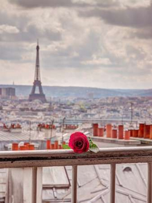 Rose on balcony railing with Eiffel Tower in background, Paris, France Poster Print by  Assaf Frank - Item # VARPDXAF20140921864X