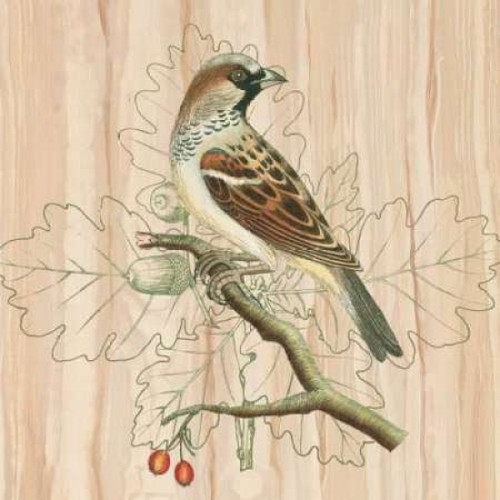 Treetops III Poster Print by Alastair Reynolds - Item # VARPDXCC2970