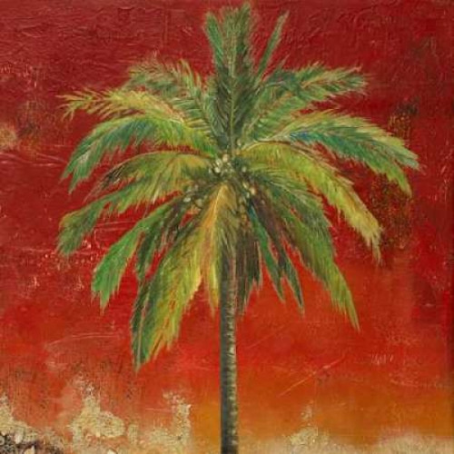 La Palma on Red I Poster Print by Patricia Pinto - Item # VARPDX7432A