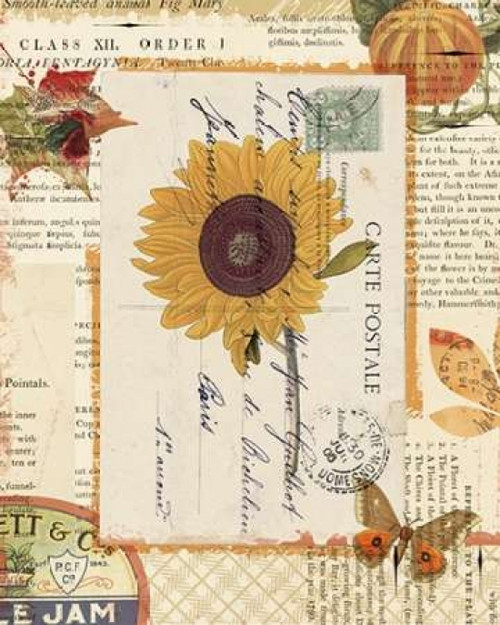 Falling for Fall II Poster Print by Katie Pertiet - Item # VARPDX21396