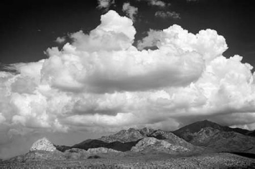Santa Rita Mountains in August BW Poster Print by Douglas Taylor - Item # VARPDXPSTLR495
