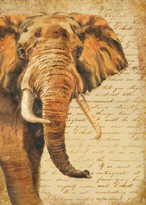 Madagascar Safari III Poster Print by Patricia Pinto - Item # VARPDX9281N