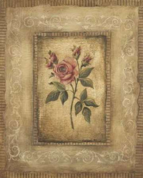 Grand Savin Rose Poster Print by Kimberly Poloson - Item # VARPDXPOL040