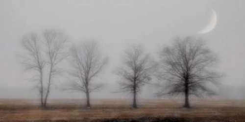 Early December Poster Print by Heather Jacks - Item # VARPDXJHP107