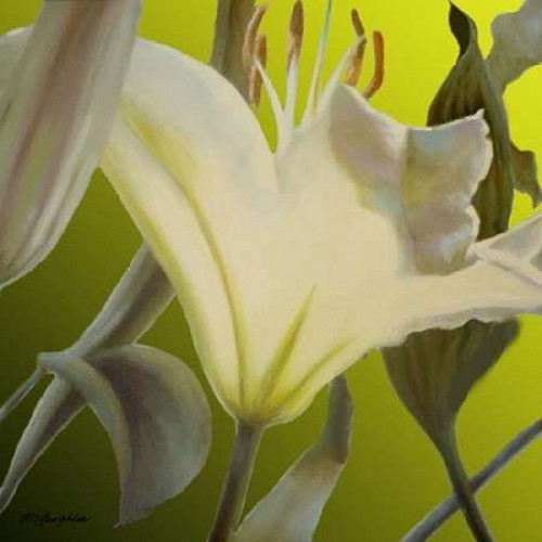 Lily Green Poster Print by Jan McLaughlin - Item # VARPDXM1066D