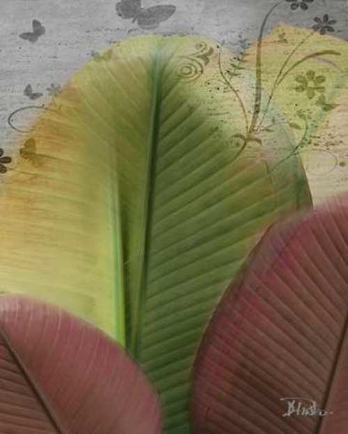 Butterfly Palm I Poster Print by Patricia Pinto - Item # VARPDX6613
