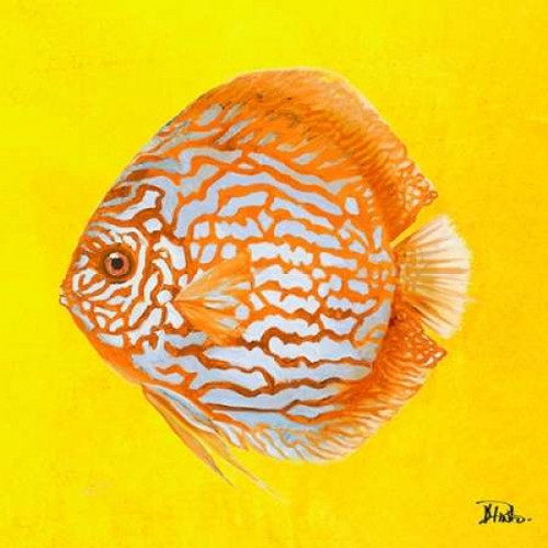 Bright Aquatic Life IV Poster Print by Patricia Pinto - Item # VARPDX9213S