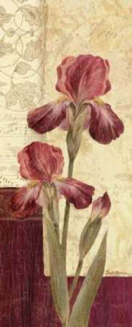 Quattro Sonata III Poster Print by Pamela Gladding - Item # VARPDXGLA492