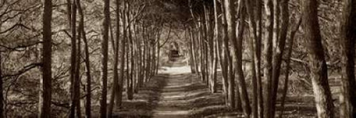 Hampton Gates Promenade - 2 Poster Print by Alan Blaustein