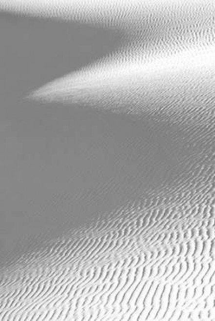 White Sand Dune and Shadow Poster Print by Douglas Taylor - Item # VARPDXPSTLR508