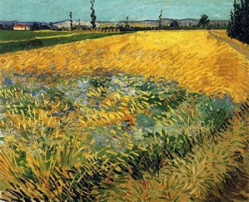 Wheatfield 1888 Poster Print by  Vincent Van Gogh - Item # VARPDX374591 Wheatfield 1888 Poster Print by  Vincent Van Gogh - Item # VARPDX374591
