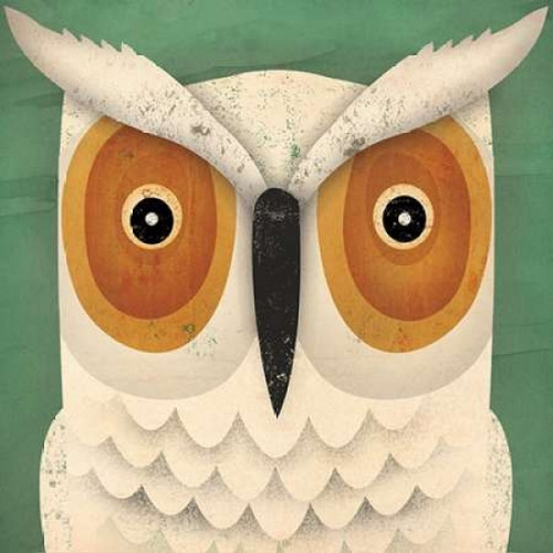 White Owl Poster Print by Ryan Fowler - Item # VARPDX22895