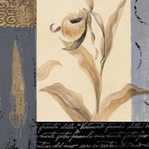 Orchid Collage I Poster Print by Lanie Loreth - Item # VARPDX6761