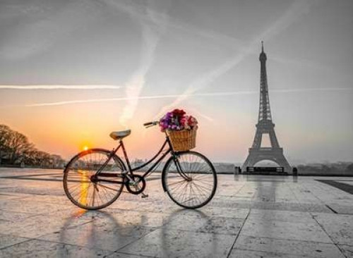 Bicycle with a basket of flowers next to the Eiffel tower, Paris, France Poster Print by  Assaf Frank - Item # VARPDXAF201203161117XC02