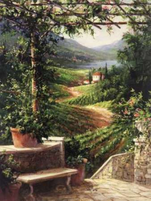 Chianti Vineyard Poster Print by Art Fronckowiak - Item # VARPDXF350D