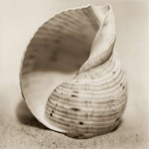 La Playa No4 Poster Print by Alan Blaustein