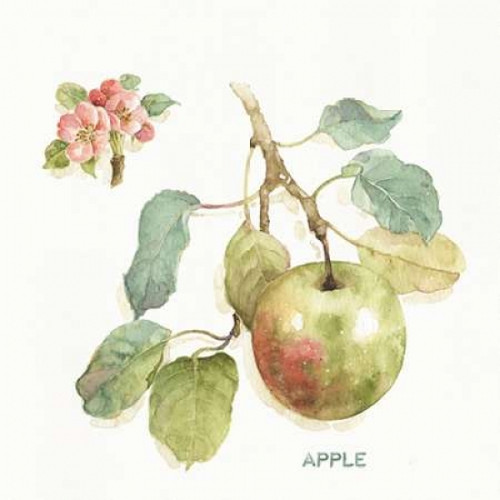 Orchard Bloom I Poster Print by Lisa Audit - Item # VARPDX21737