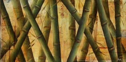 Bamboo Forest II Poster Print by Patricia Pinto - Item # VARPDX7625