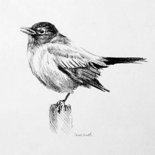 Bird Drawing III Poster Print by Lanie Loreth - Item # VARPDX9550A