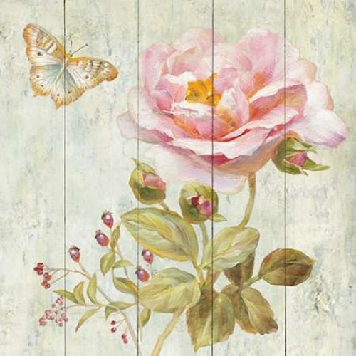 Natural Flora II Poster Print by Danhui Nai - Item # VARPDX22623