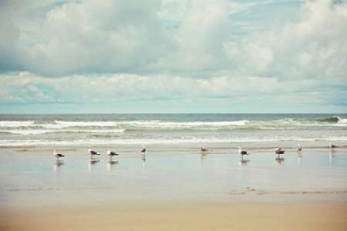 Beachcombing Poster Print by Irene Suchocki - Item # VARPDXS1285D