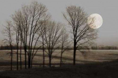 November Moon Poster Print by Heather Jacks - Item # VARPDXJHP104